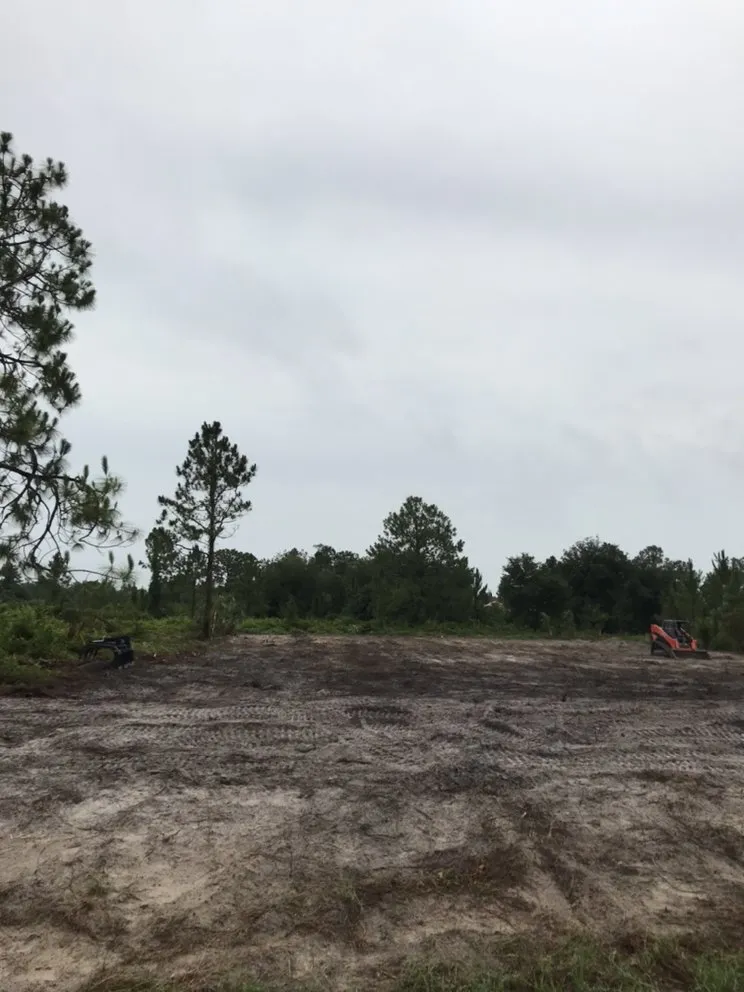 Affordable landscaping services experts serving North Fort Myers, FL - Southern Landscaping