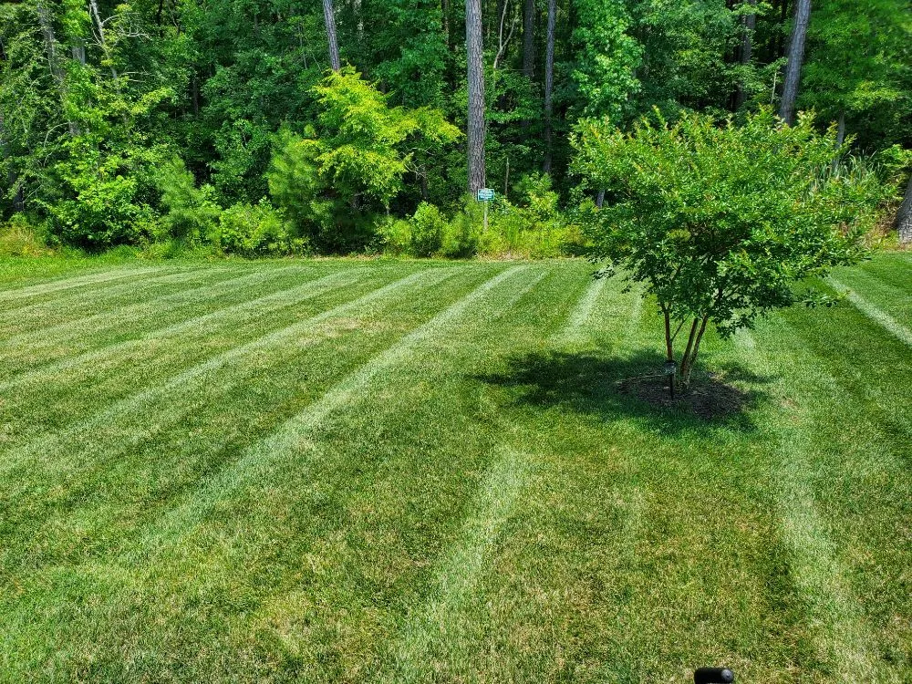 Top-rated landscaping services for homes across Richmond, VA - Southern Landscaping