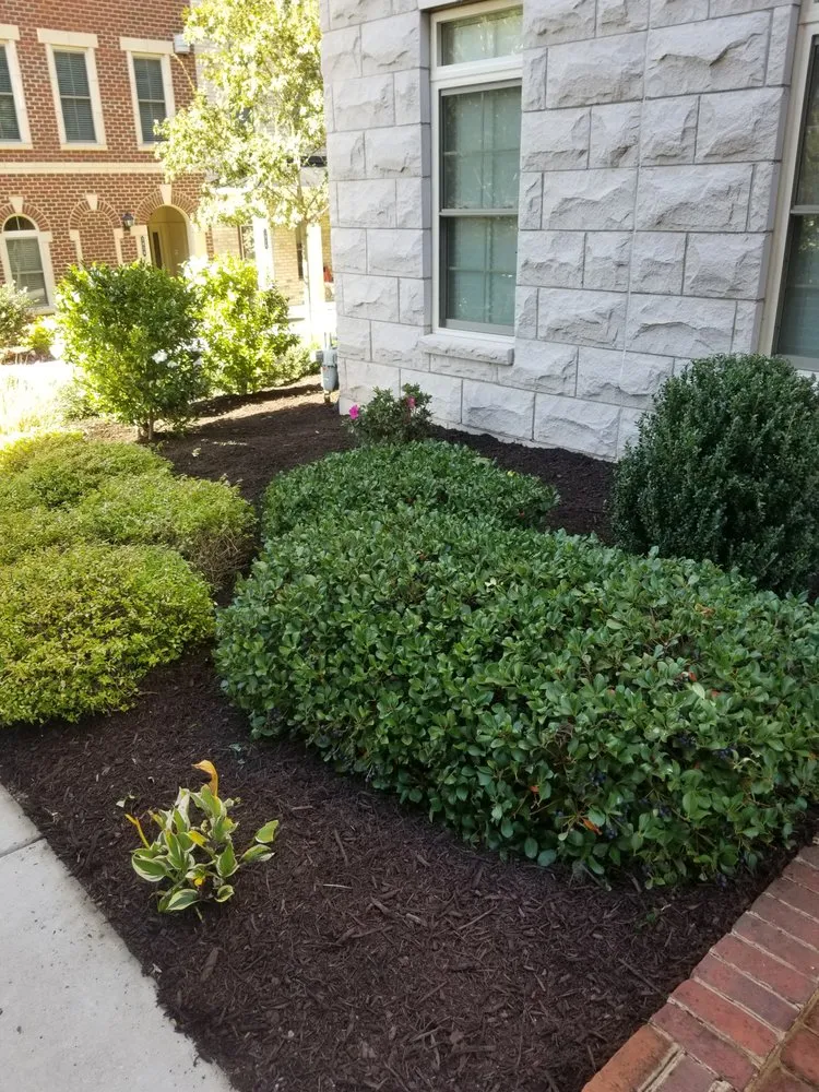 Reliable lawn mowing service in Richmond, VA - Southern Landscaping