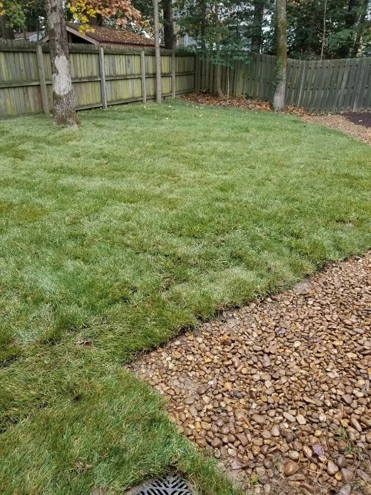 Trusted garden landscaping for beautiful yards in Richmond, VA by Southern Landscaping
