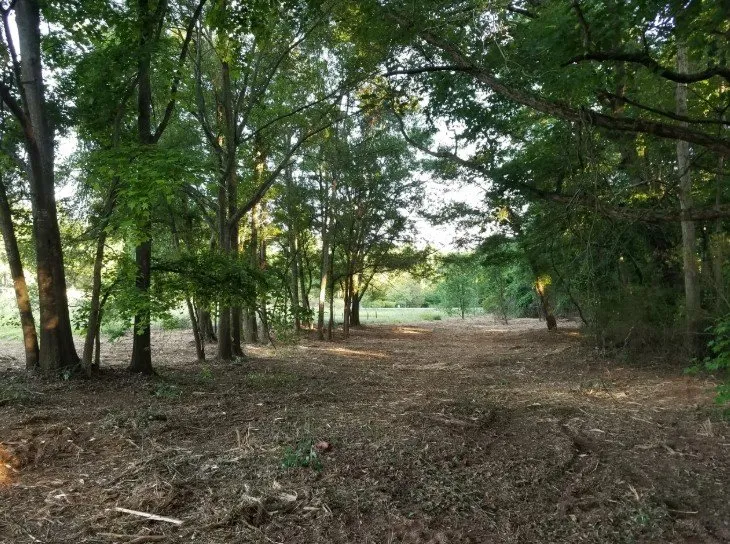 Professional residential landscaping in Carnesville, GA by Southern Landworks