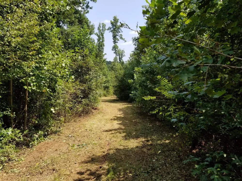Local yard maintenance in Carnesville, GA by Southern Landworks