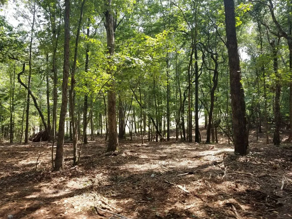 Top-rated landscaping services experts serving Carnesville, GA - Southern Landworks