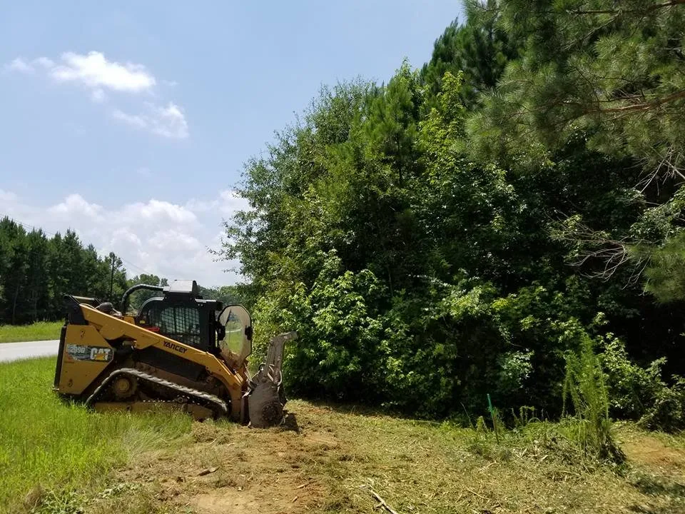 Professional yard cleanup service experts serving Carnesville, GA - Southern Landworks