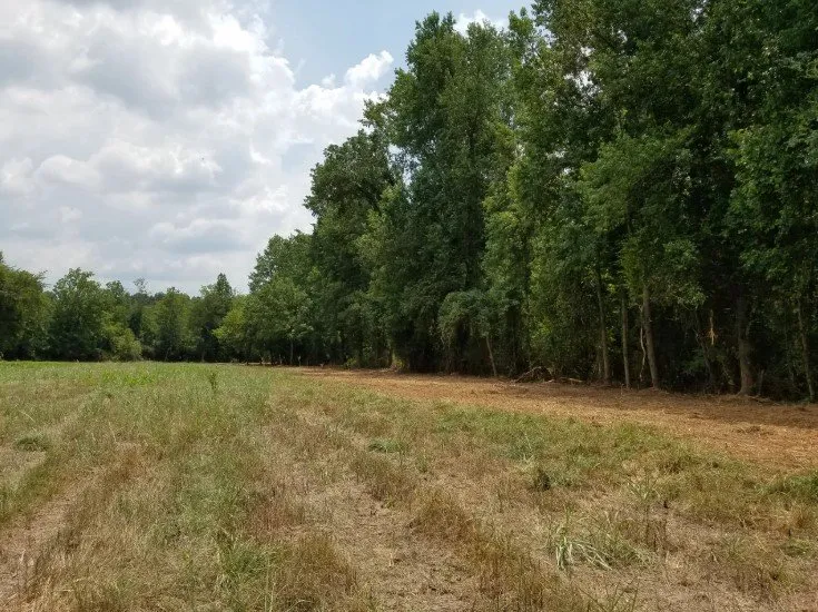Affordable lawn mowing service in Carnesville, GA - Southern Landworks