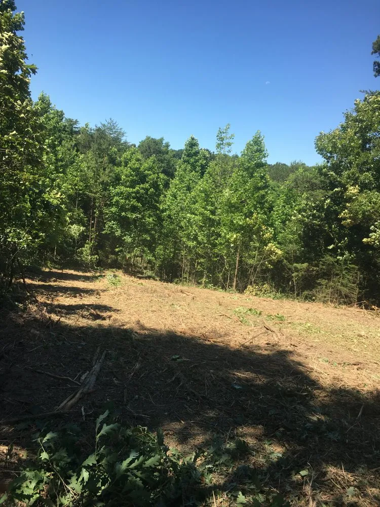 Custom lawn care service in Talbott, TN - Southern Landworx
