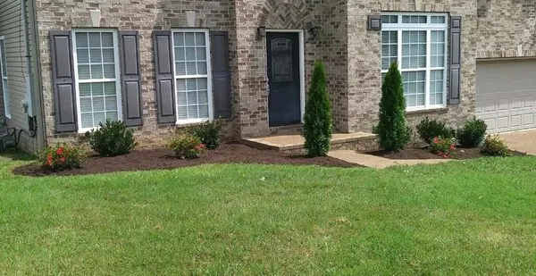 Southern Lawn & Landscape Logo