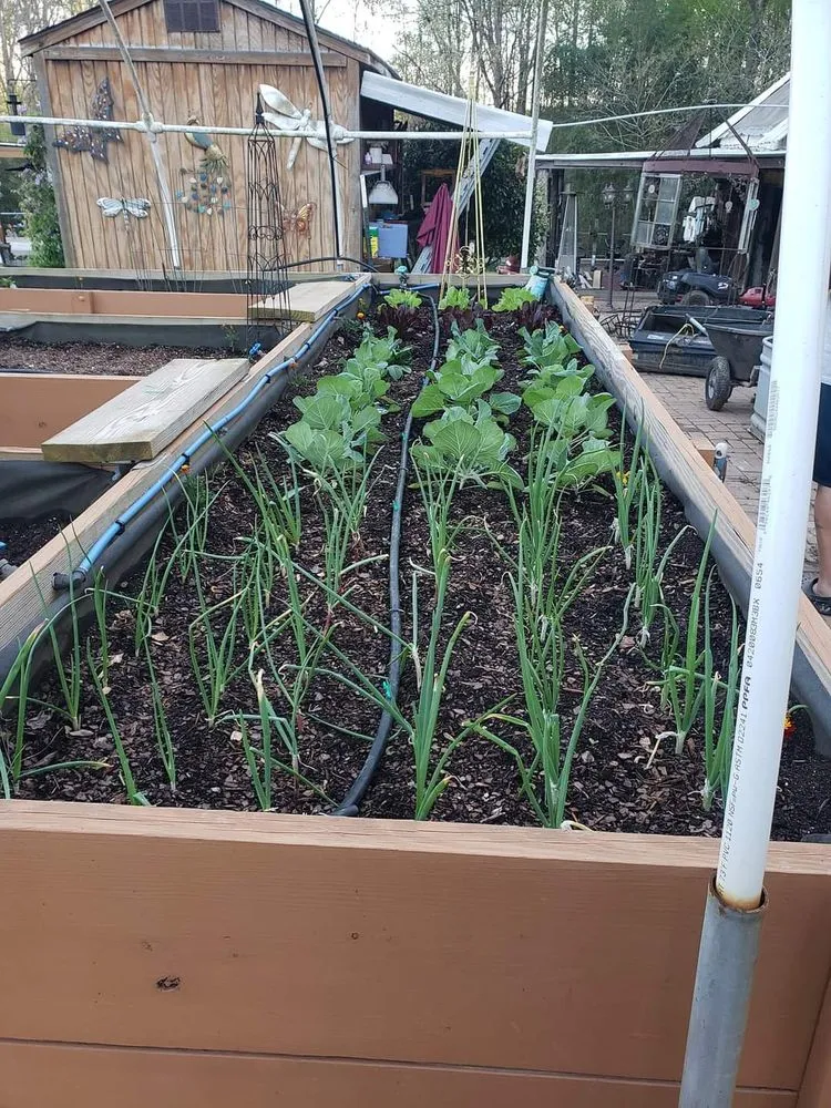 Expert landscaping services in Fountain Inn, SC by Southern Lawn & Landscape Pros