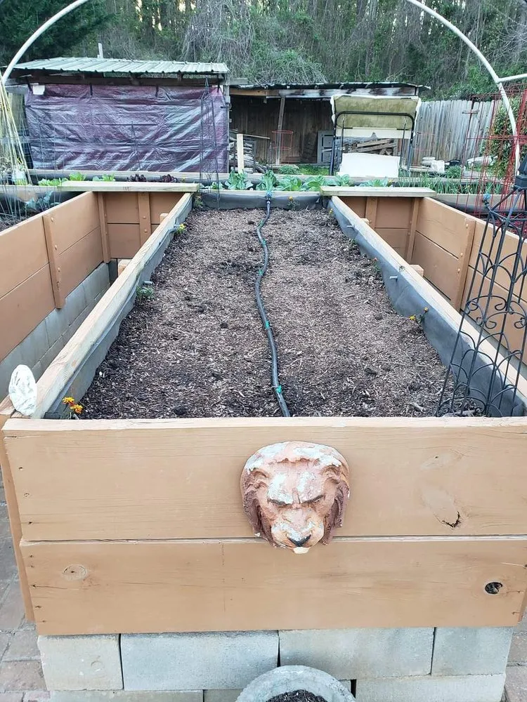 Professional lawn care service experts serving Fountain Inn, SC - Southern Lawn & Landscape Pros