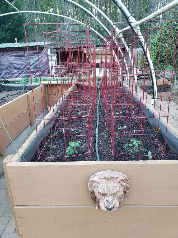 Professional lawn mowing service in Fountain Inn, SC - Southern Lawn & Landscape Pros