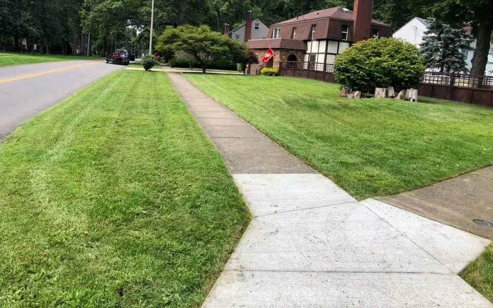 Local outdoor landscaping in Gainesville, FL by Southern Lawn & Pressure Washing