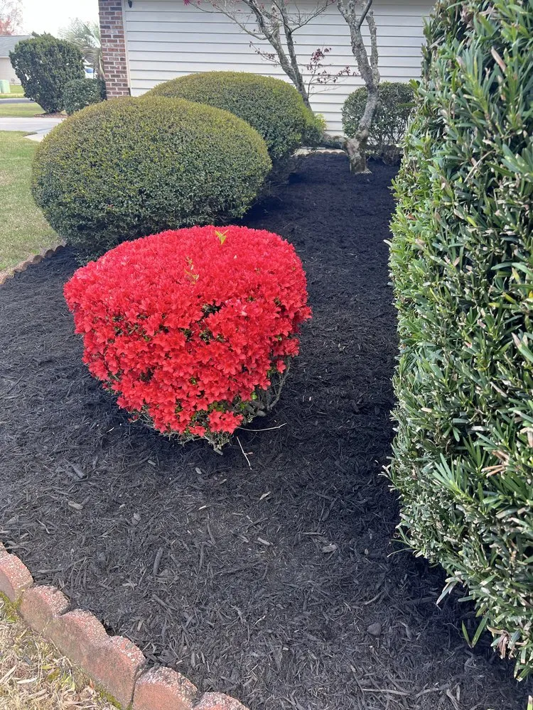 Reliable lawn care service in Little River, SC by Southern Lawn and Landscape