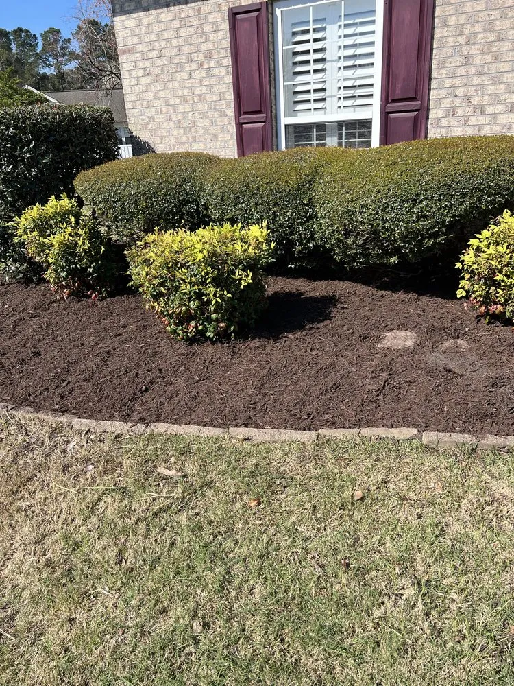 Professional residential landscaping experts serving Little River, SC - Southern Lawn and Landscape