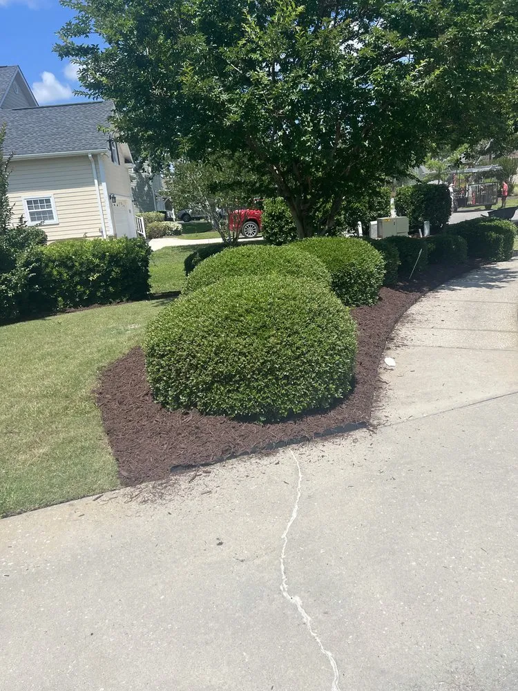 Expert landscape installation in Little River, SC by Southern Lawn and Landscape