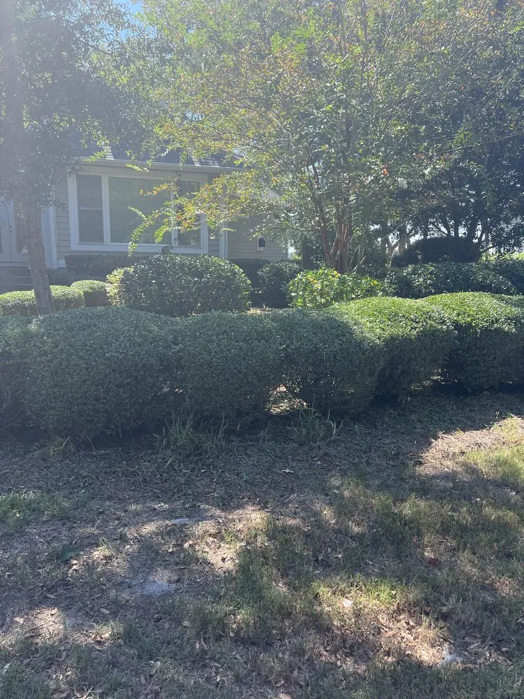 Top-rated garden landscaping for year-round maintenance in Little River, SC by Southern Lawn and Landscape