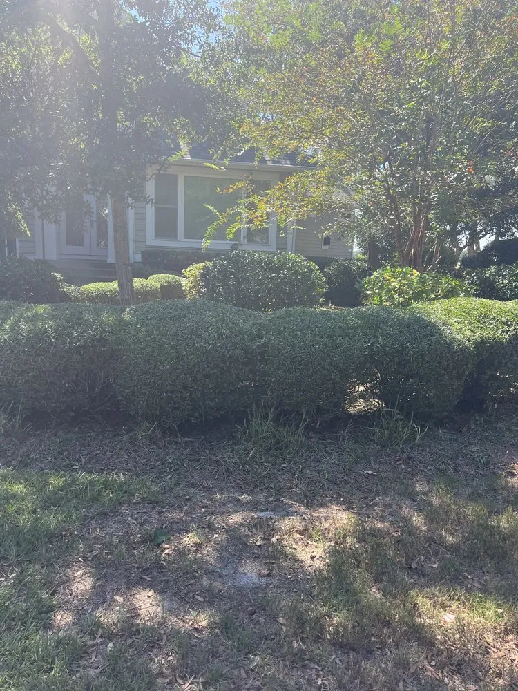 Reliable landscape installation experts serving Little River, SC - Southern Lawn and Landscape