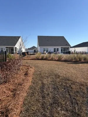 Southern Lawn and Landscape