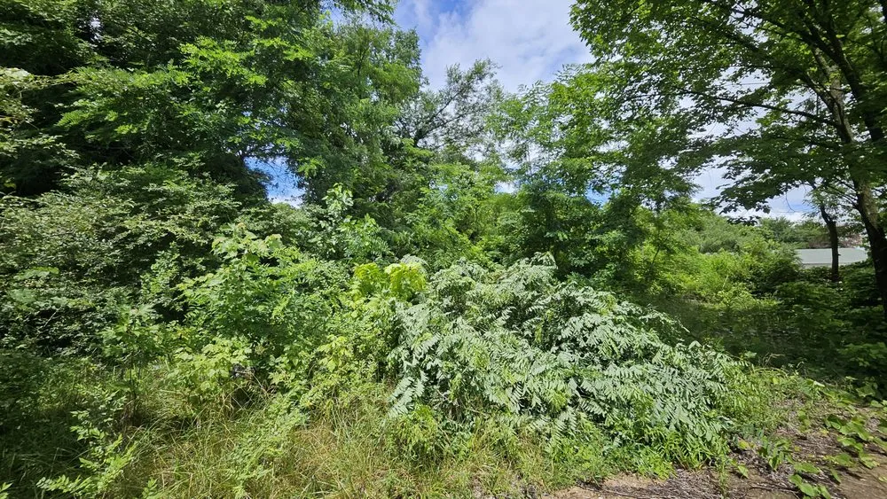 Local landscape design experts serving Harrison, AR - Southern Lawn and Maintenance