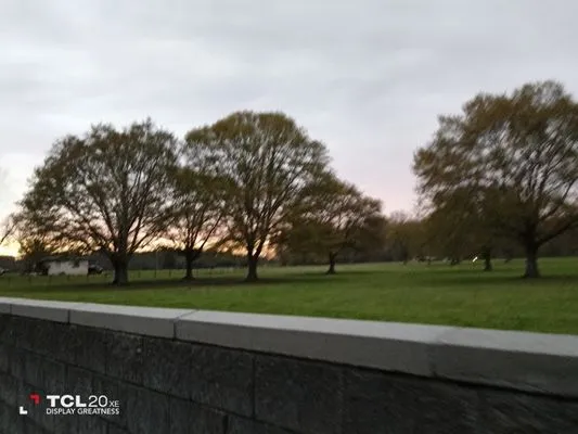 Southern lawn and pressure washing