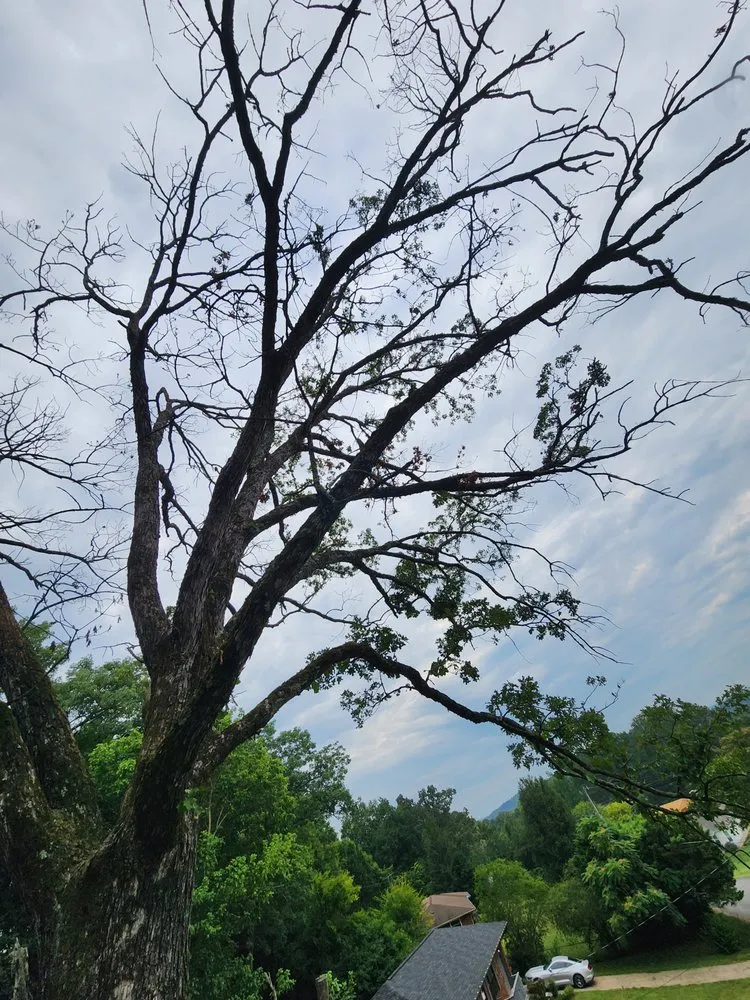 Reliable residential landscaping for outdoor upgrades in Chickamauga, GA by Southern Lawn And Tree Maintenance