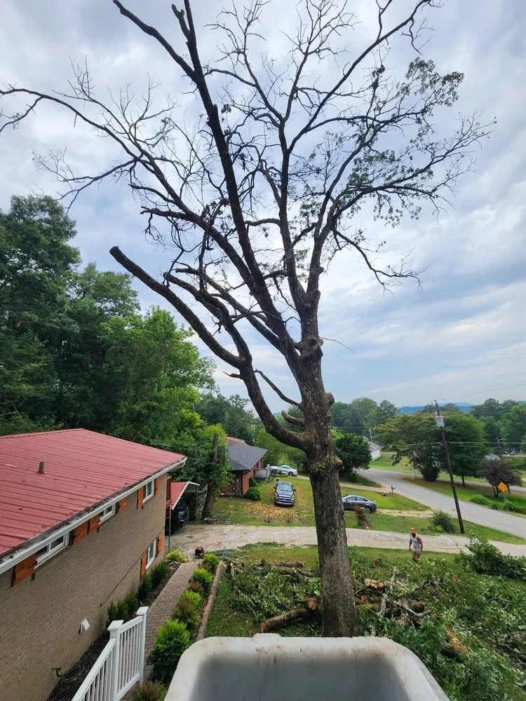 Reliable lawn mowing service for year-round maintenance in Chickamauga, GA by Southern Lawn And Tree Maintenance