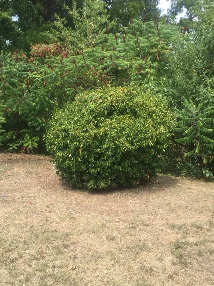 Trusted garden landscaping experts serving Bessemer, AL - Southern Lawn Care