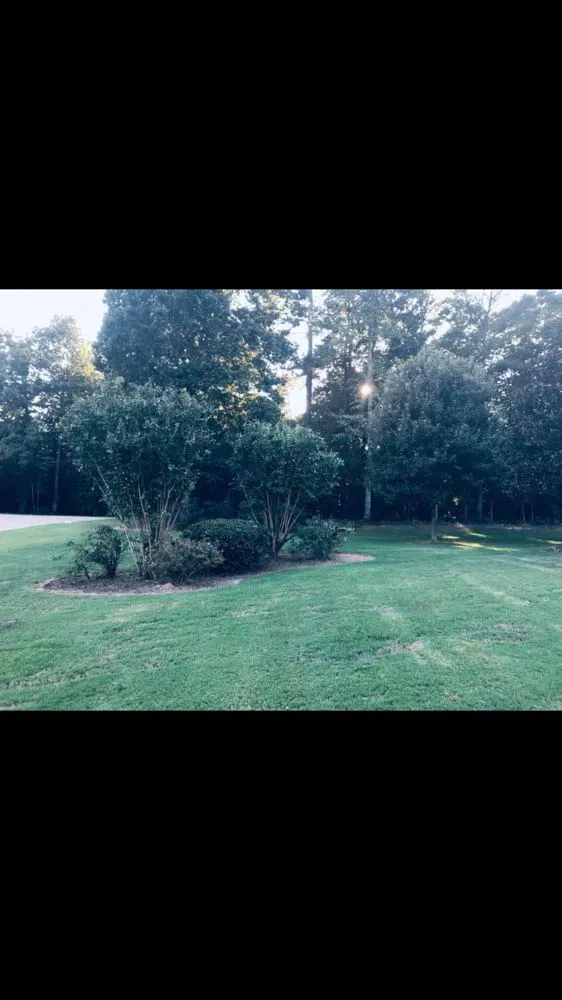 Trusted lawn care service for year-round maintenance across Bessemer, AL - Southern Lawn Care
