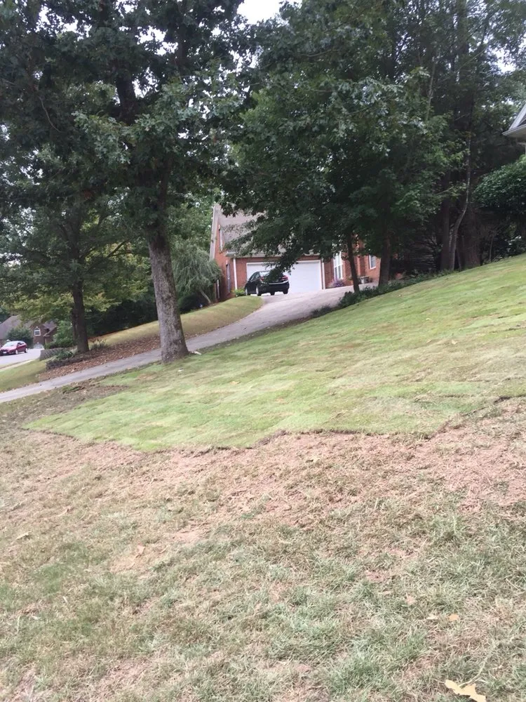 Reliable yard cleanup service in Bessemer, AL by Southern Lawn Care