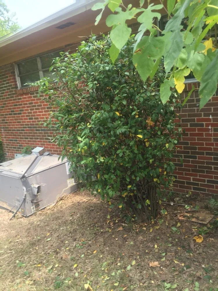 Reliable landscape design for outdoor upgrades across Bessemer, AL - Southern Lawn Care