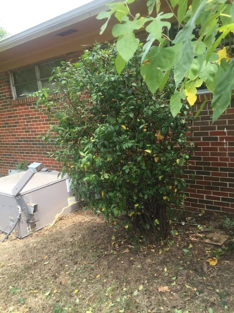 Expert lawn care service for homes across Bessemer, AL - Southern Lawn Care