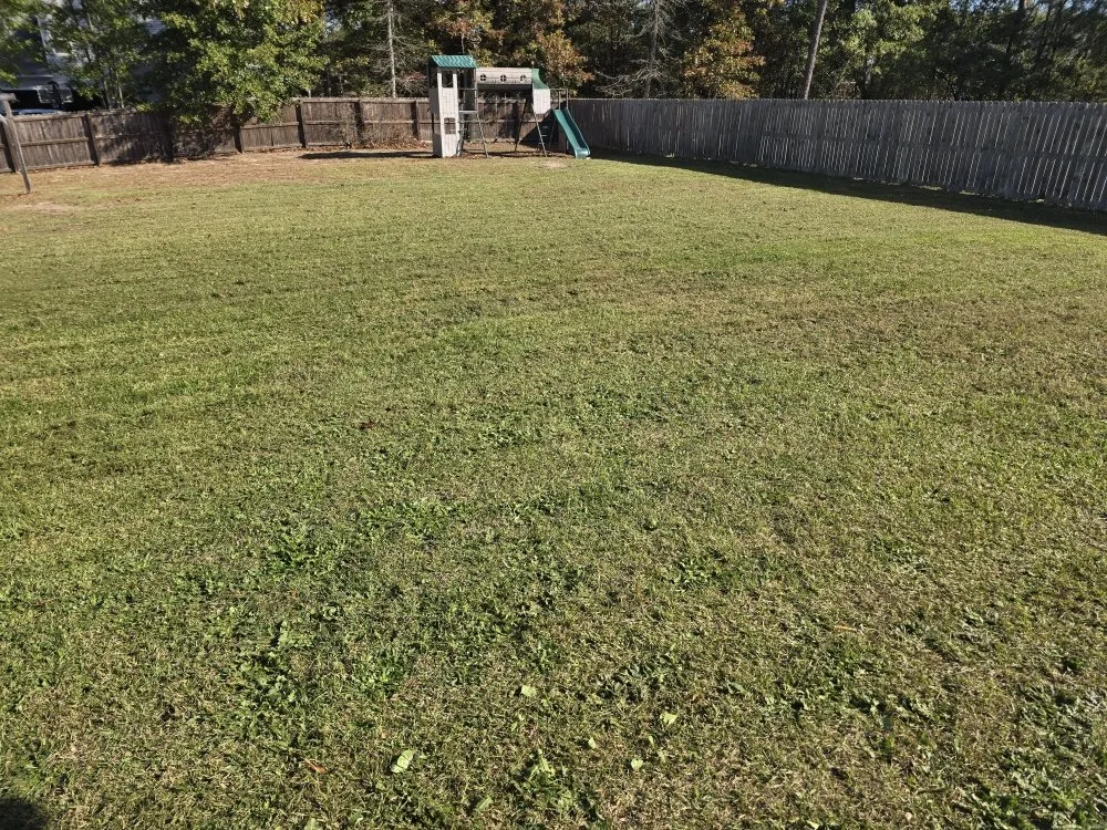 Local lawn care service in Fayetteville, NC by Southern Lawn Care