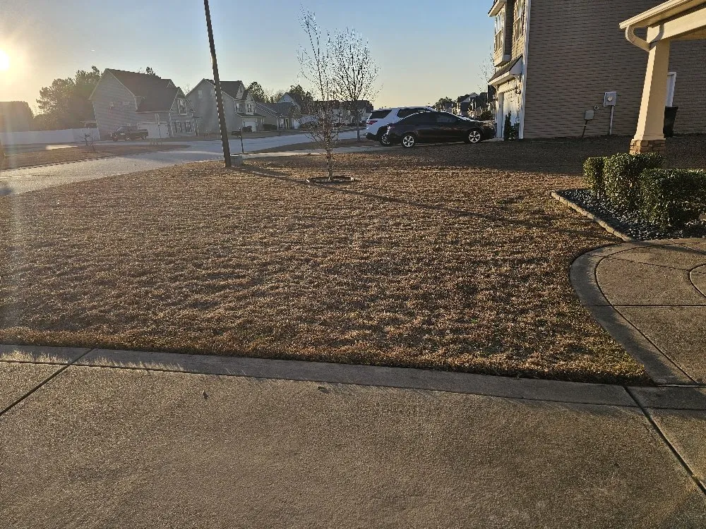 Professional landscaping services experts serving Fayetteville, NC - Southern Lawn Care