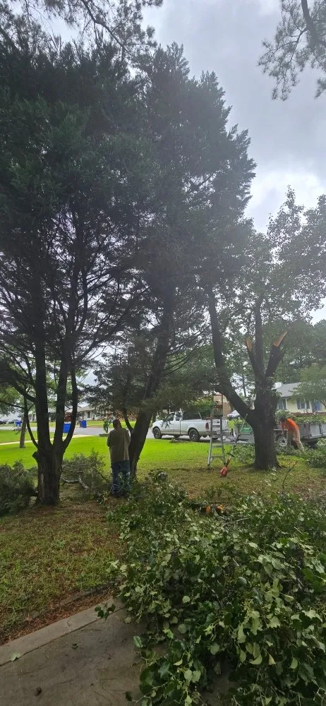 Trusted residential landscaping in Fayetteville, NC by Southern Lawn Care