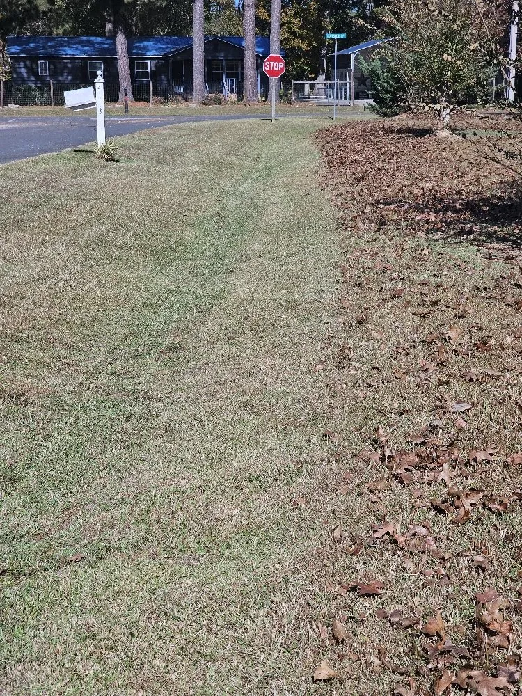 Top-rated lawn care service in Fayetteville, NC by Southern Lawn Care