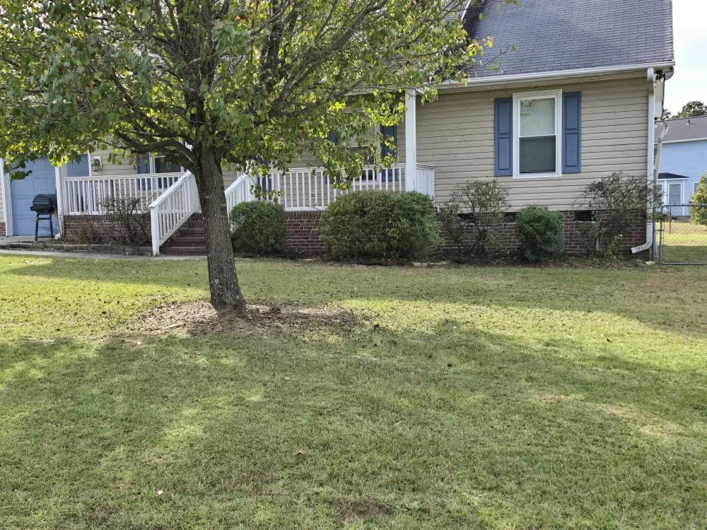 Reliable outdoor landscaping in Fayetteville, NC by Southern Lawn Care