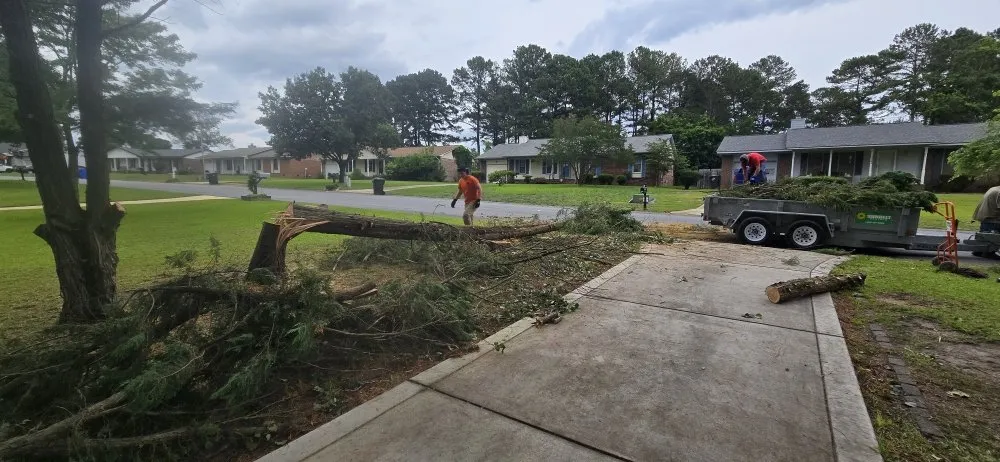 Custom lawn care service with custom design in Fayetteville, NC by Southern Lawn Care