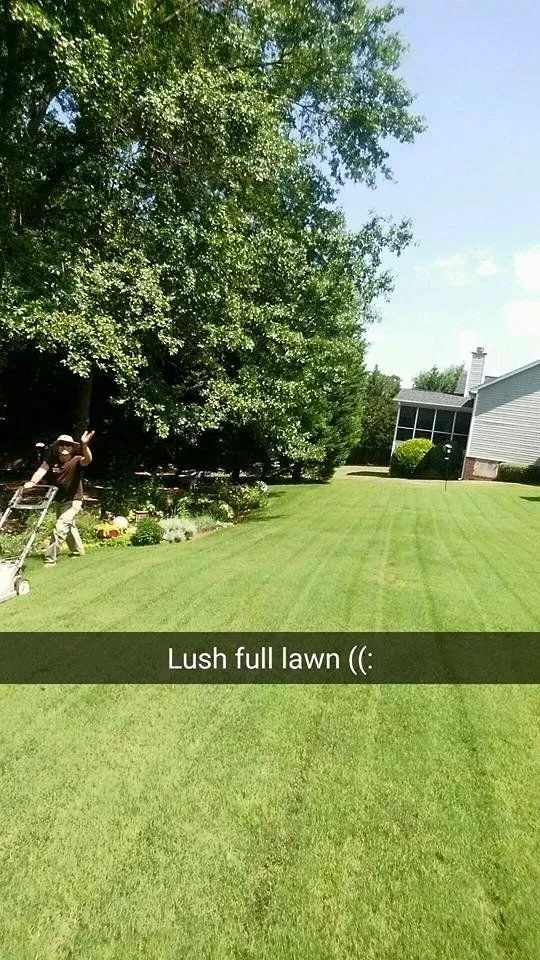 Expert lawn care service in Greenville, SC - Southern Lawn Care