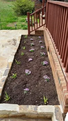 Southern Lawn Care Logo