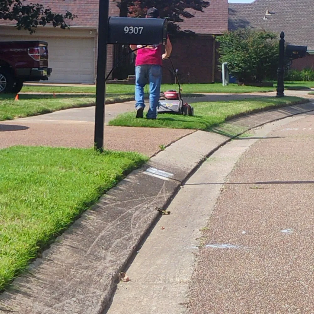 Affordable landscaping services experts serving Olive Branch, MS - Southern Lawn Care