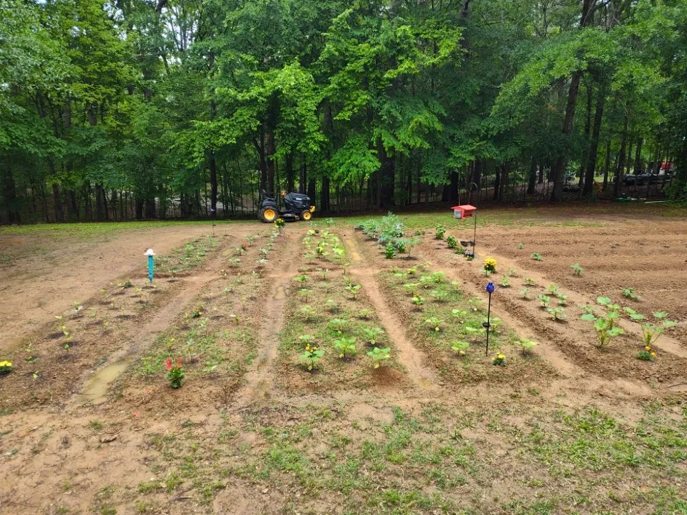 Custom lawn care service in Olive Branch, MS by Southern Lawn Care