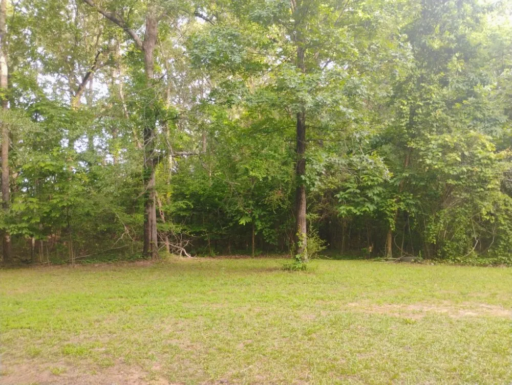 Affordable landscape design in Olive Branch, MS - Southern Lawn Care