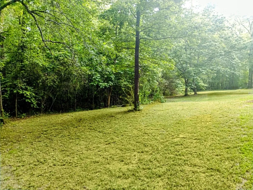 Expert landscape design experts serving Olive Branch, MS - Southern Lawn Care