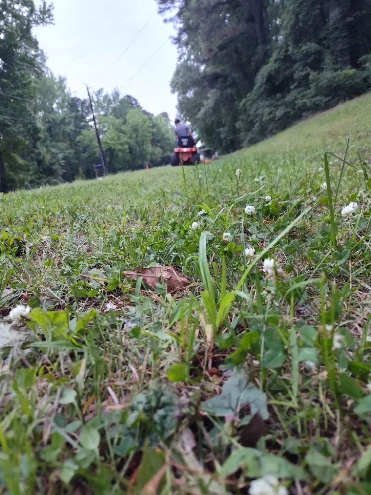 Affordable outdoor landscaping experts serving Olive Branch, MS - Southern Lawn Care