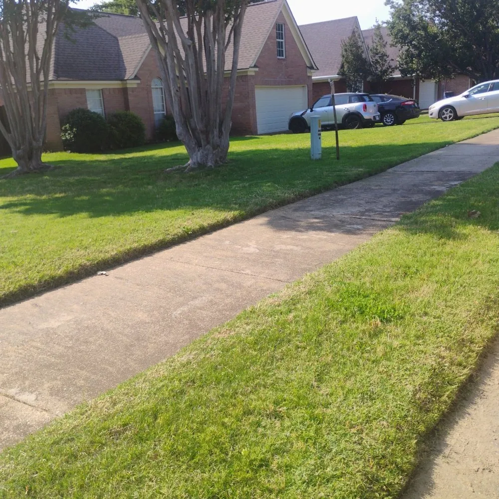 Top-rated yard cleanup service in Olive Branch, MS by Southern Lawn Care