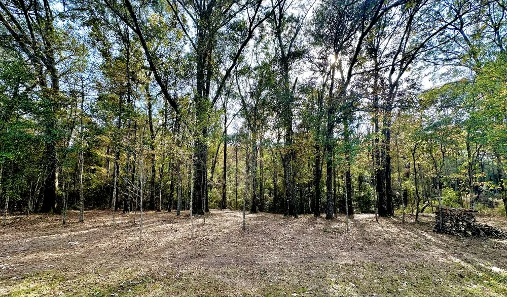 Professional landscape installation for outdoor upgrades across Purvis, MS - Southern Lawn Care