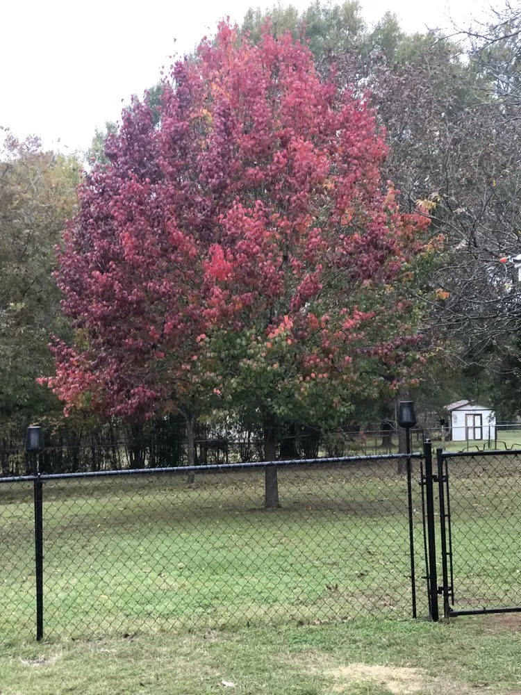 Top-rated landscaping services for homes across Sapulpa, OK - Southern Lawn Care