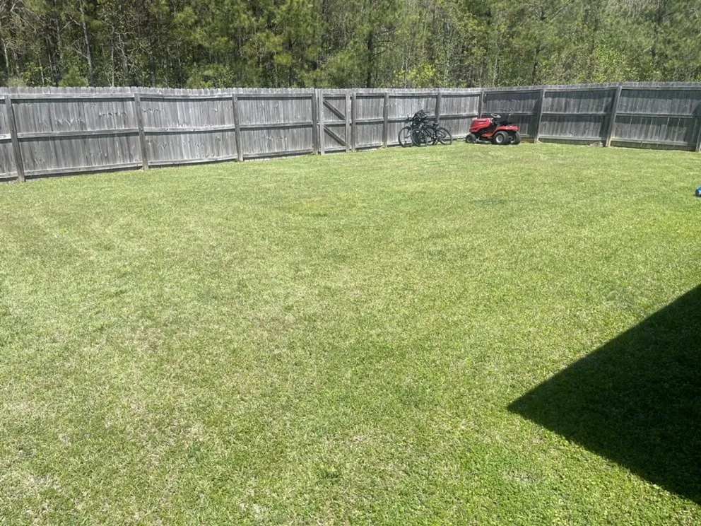 Professional lawn care service for year-round maintenance in Walker, LA by Southern Lawn Company and Pressure Washing