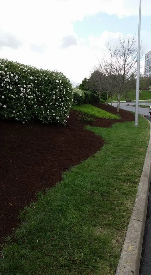 Local landscaping services in Hopkinsville, KY - Southern Lawn Maintaince