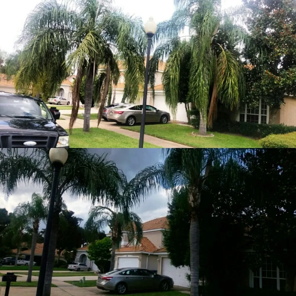 Affordable yard cleanup service in Orlando, FL by Southern Lawn Maintenance