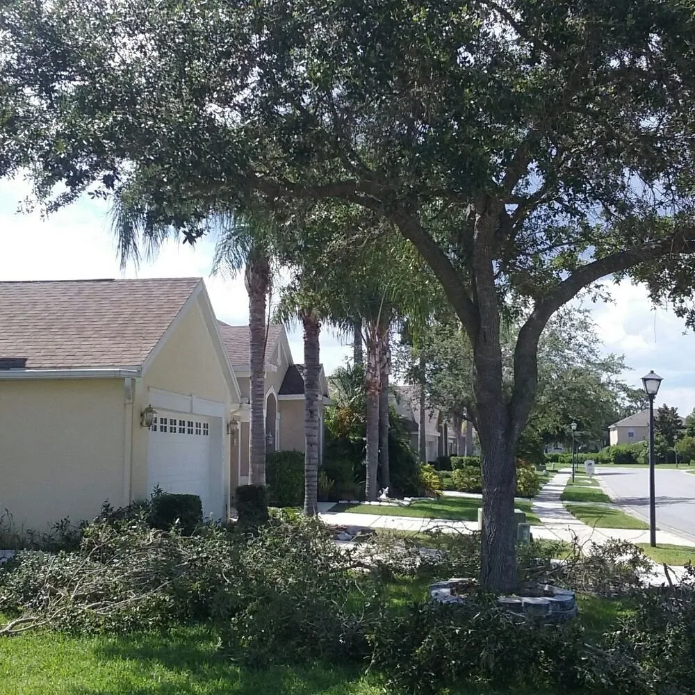 Reliable outdoor landscaping for homes across Orlando, FL - Southern Lawn Maintenance